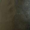 foto-3-elastopox-100-at